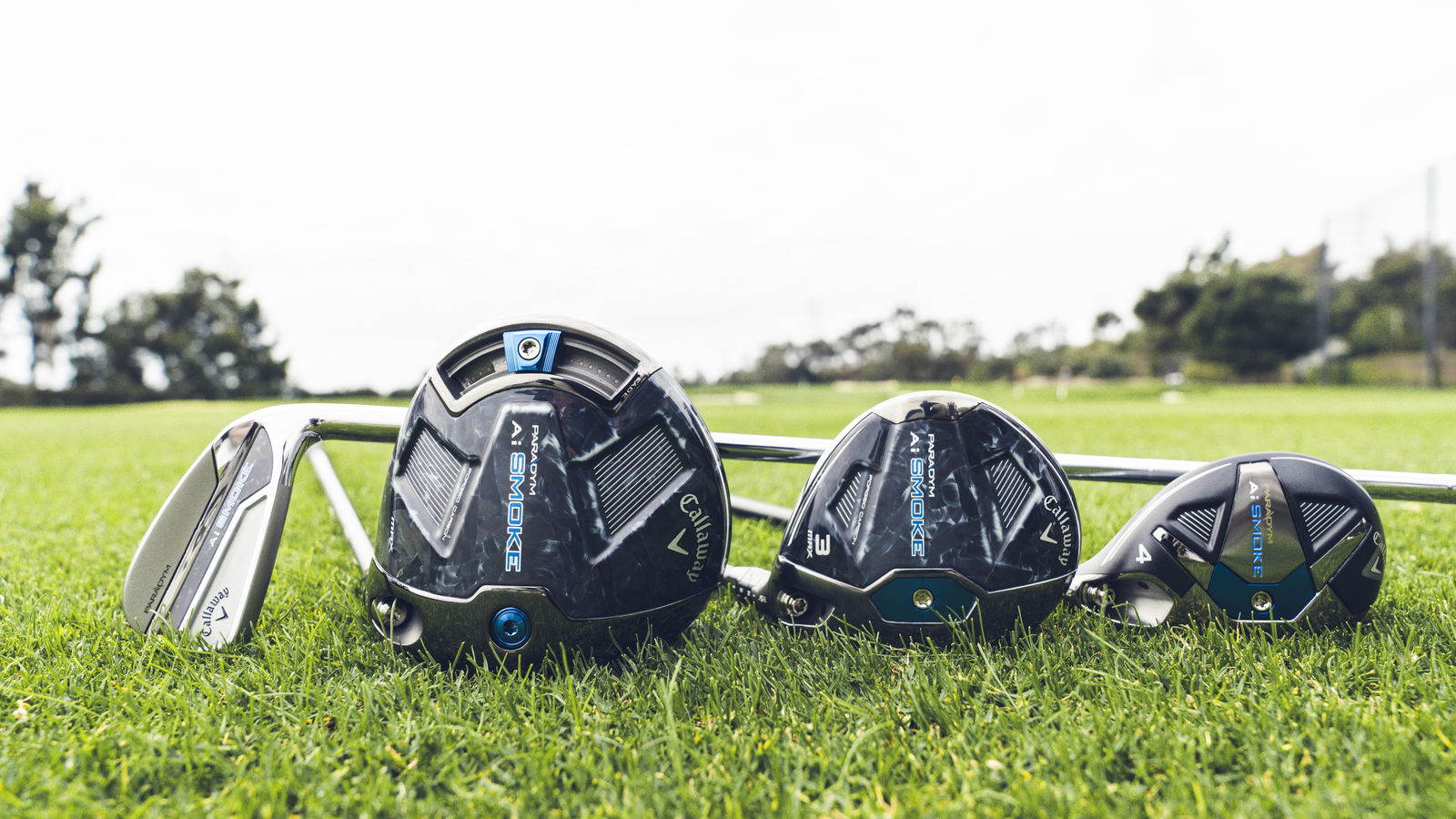 Paradym Ai Smoke Family