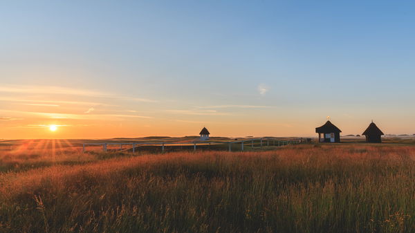 2020 Open Championship receives record-breaking first day ticket sales