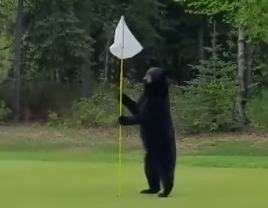 WATCH: Justin Thomas goes to pick up grandma before tee time