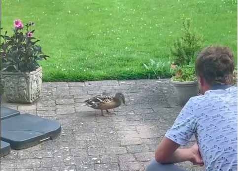 Golf fans react as Justin Thomas FEEDS A DUCK at The Open Championship