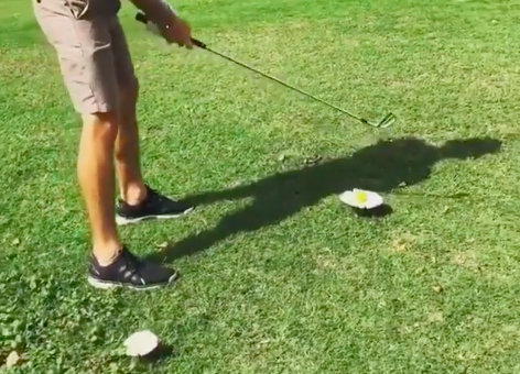 Do you get FREE RELIEF if your ball rests on a fairway mushroom?