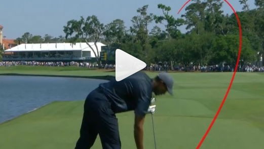 Tiger Woods stinger: The shot the world can't stop watching at The Players