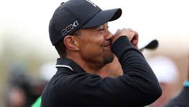 Who remembers the time a fan threw a hot dog at Tiger Woods...