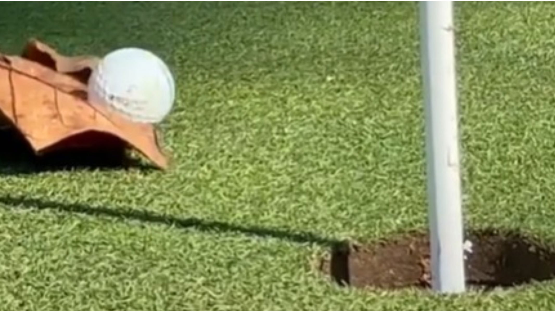 Golf rules: Does this count as a holed putt if the ball RICOCHETS off a leaf?