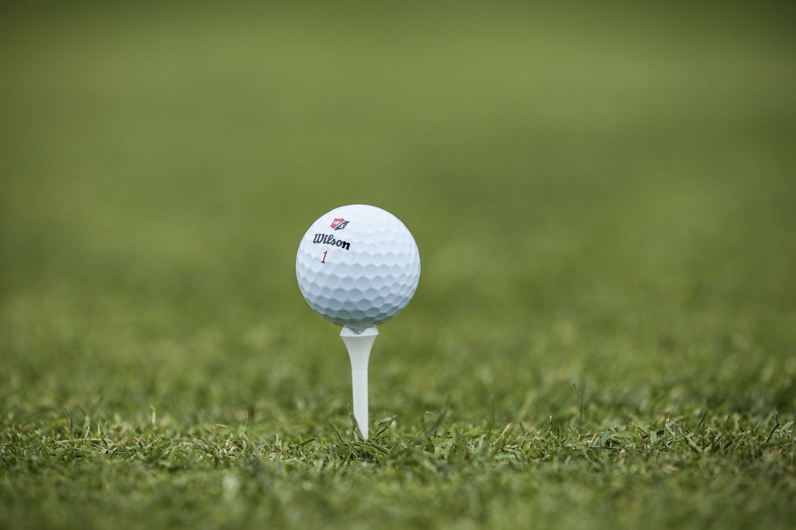 Golf apparel brand Galvin Green announces new CEO