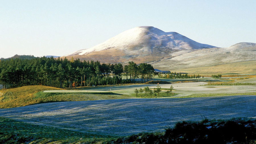 teenager suspended from golf club after having a wee in bushes