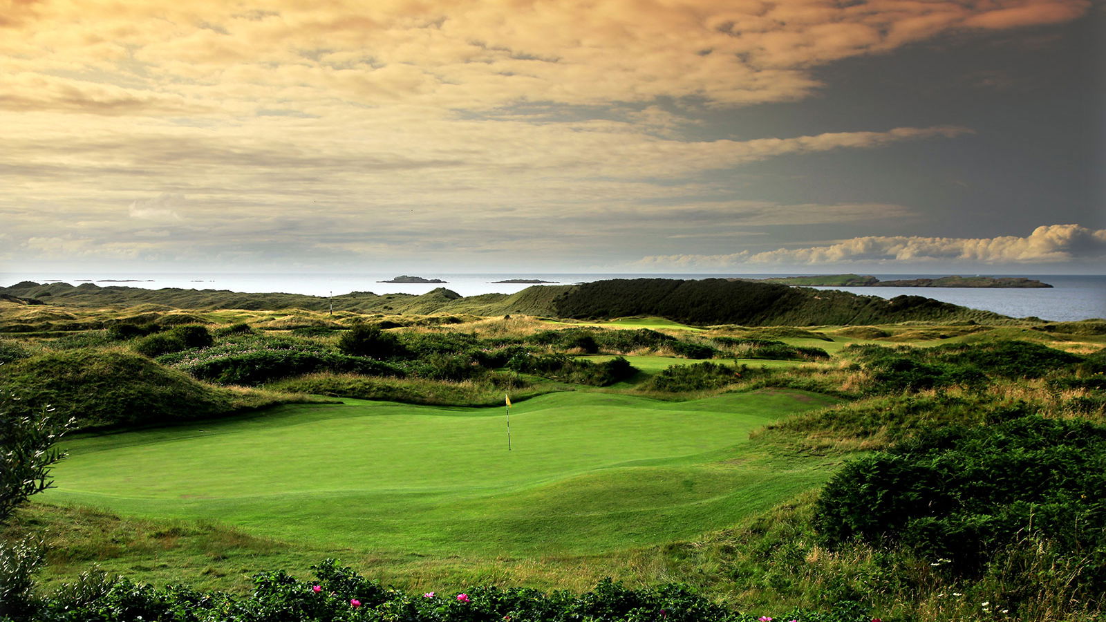 Final day tickets to the 2019 Open are already sold out