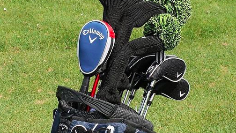 Golf fans react to player with a headcover for his GOLF BALL RETRIEVER!