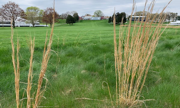 WATCH: Matt Fitzpatrick shows just how DEEP the US PGA rough is...