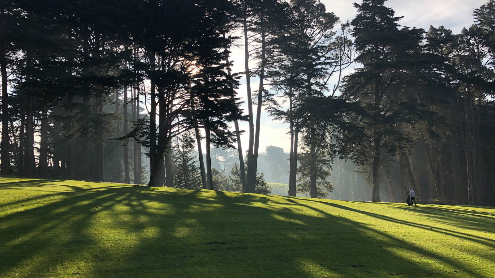 Couple awarded $4.93 million after hundreds of golf ball strike their home