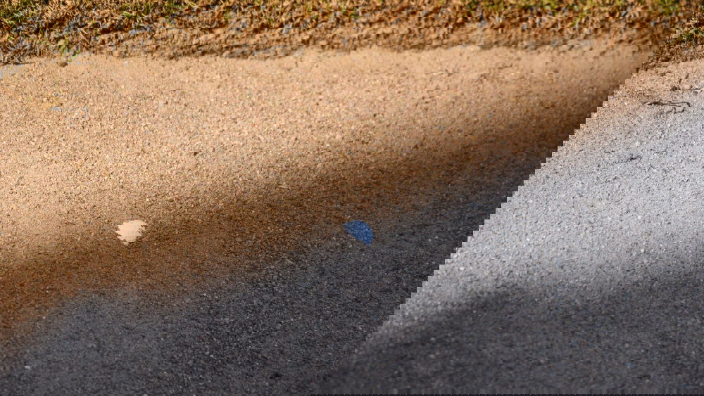 Did you know about this rule when you're searching for your ball?