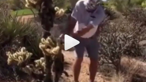 Golfer attempts shot from a cactus, made to look a right prick!