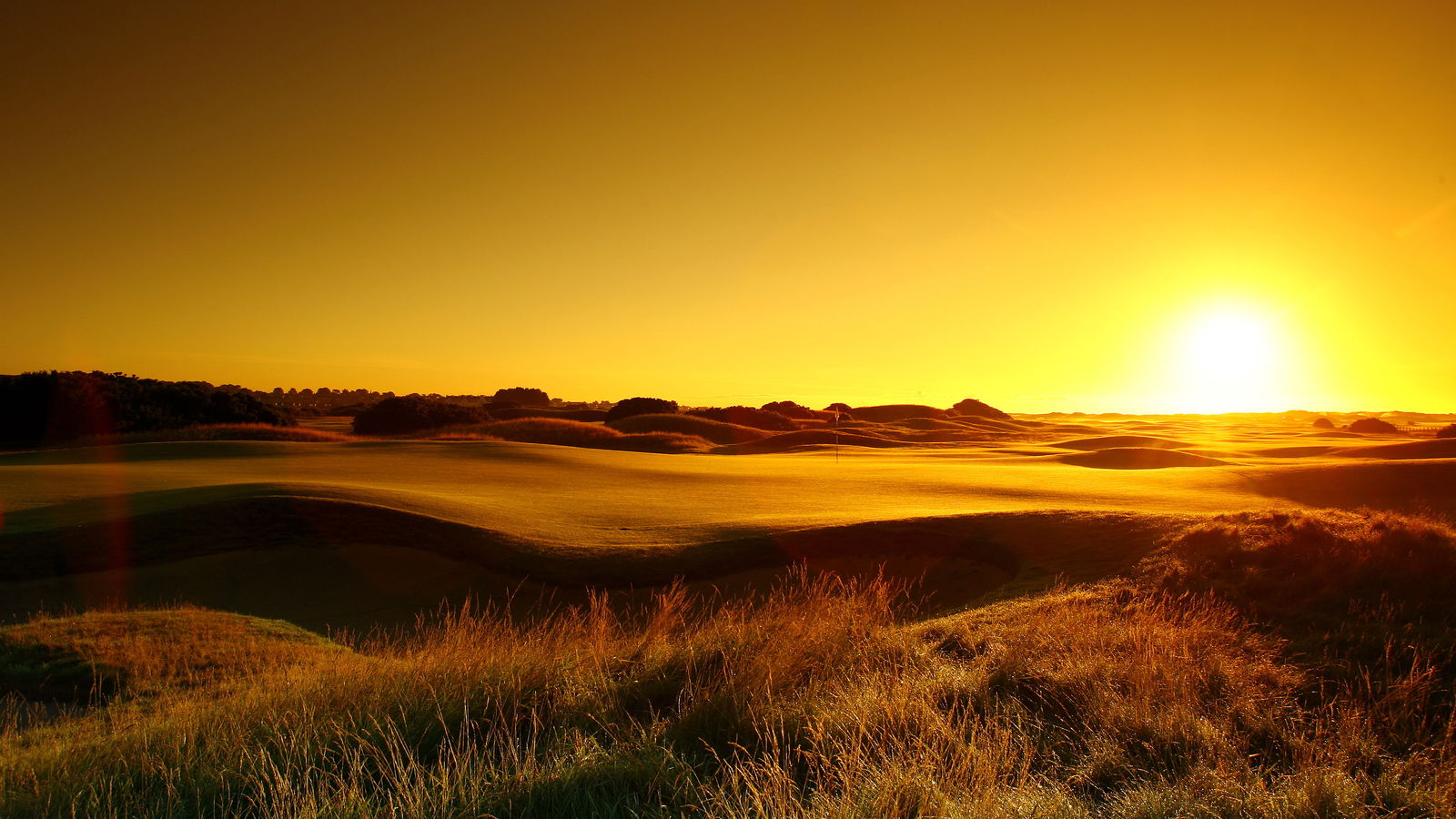 GolfMagic Travel Survey 2017 