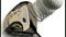 Group Review: Budget golf drivers