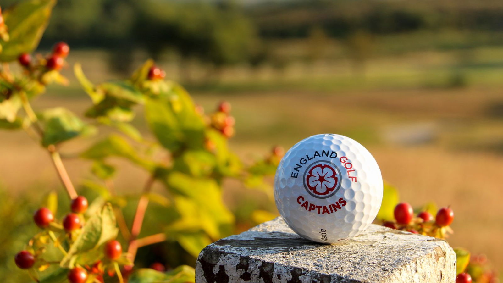 England Golf extends list of postponed events due to COVID-19