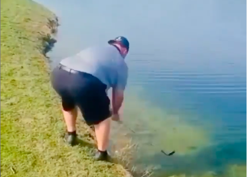 Golf fans react as unfortunate golfer FALLS into a lake