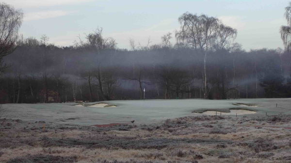 Why do some golf clubs use temporary greens, while others don't?