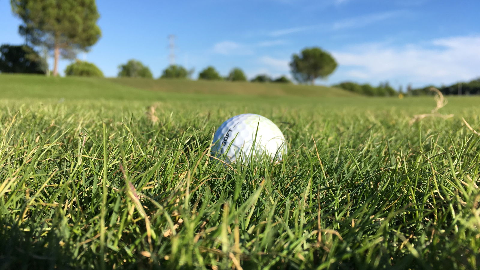 Six-year-old from Essex set for Junior World Golf Championships