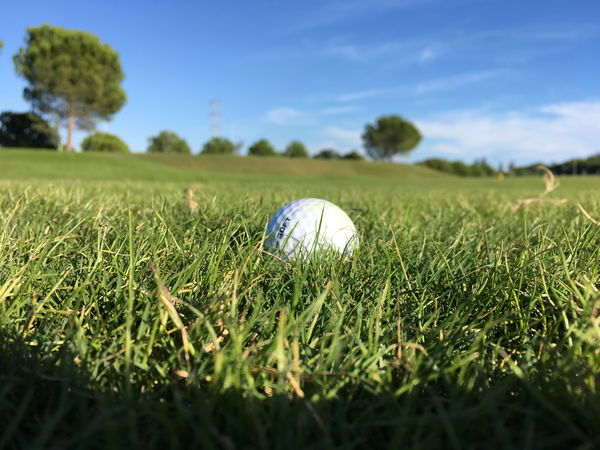 Six-year-old from Essex set for Junior World Golf Championships