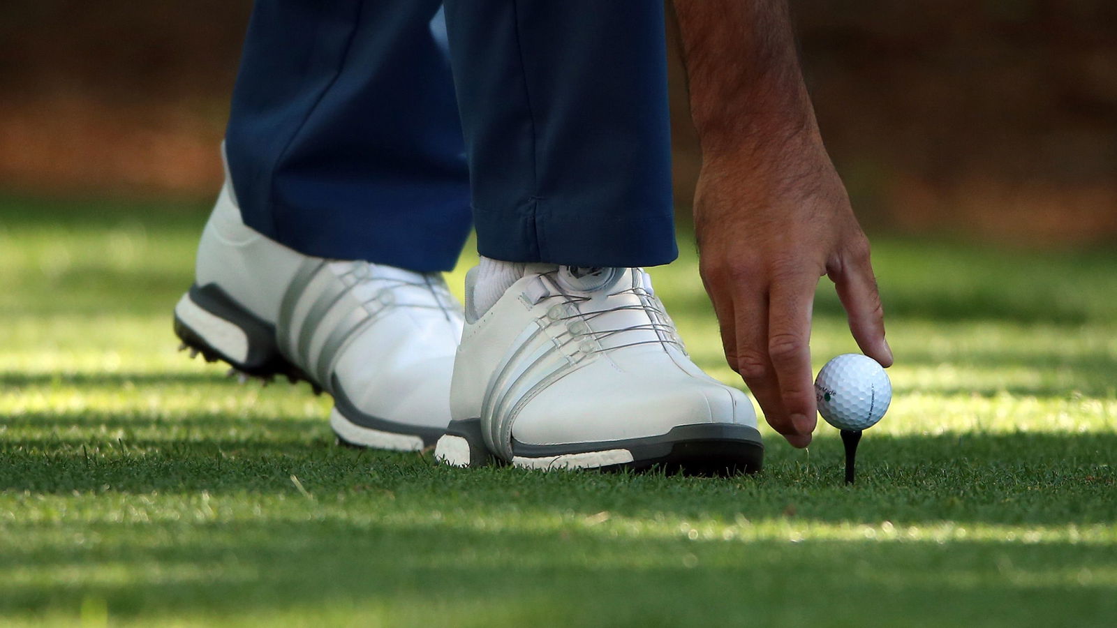 Oldest English golf club to BAN PLASTIC TEES to stop harming animals