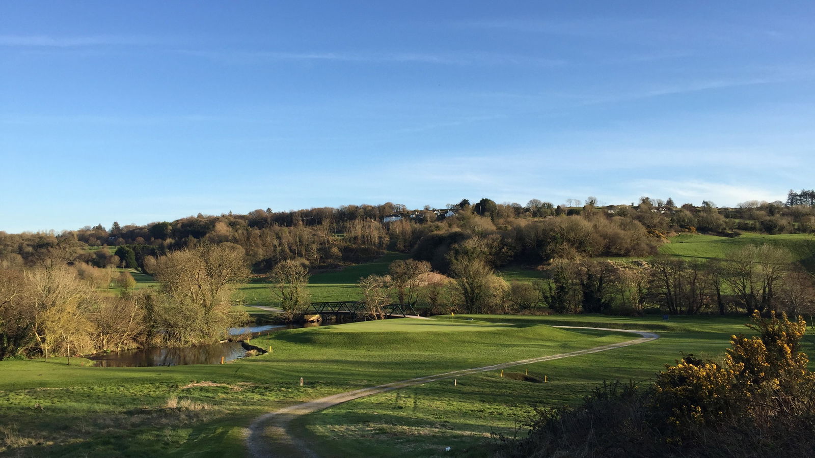 Irish golf clubs hit back at Golf Ireland's member-only regulations