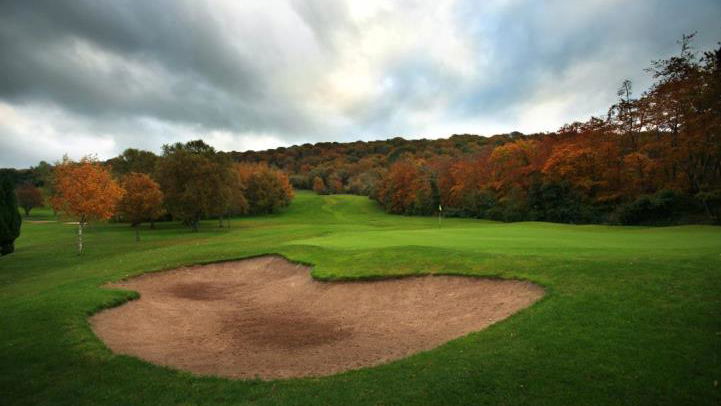 Resident pro at Rory McIlroy's home golf club acquitted of GBH