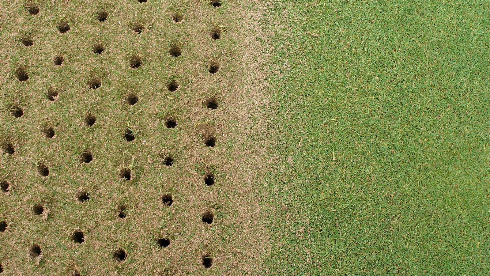Why is it important to poke holes in your greens?