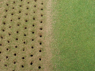 Why is it important to poke holes in your greens?