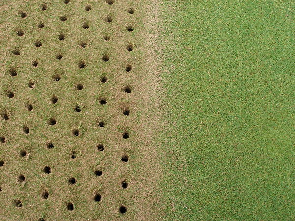 Why is it important to poke holes in your greens?