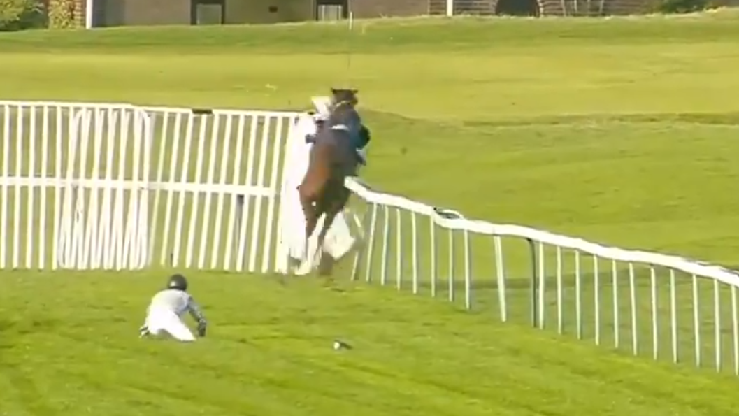 Racehorse CRASHES through railings at Yarmouth and onto golf course...
