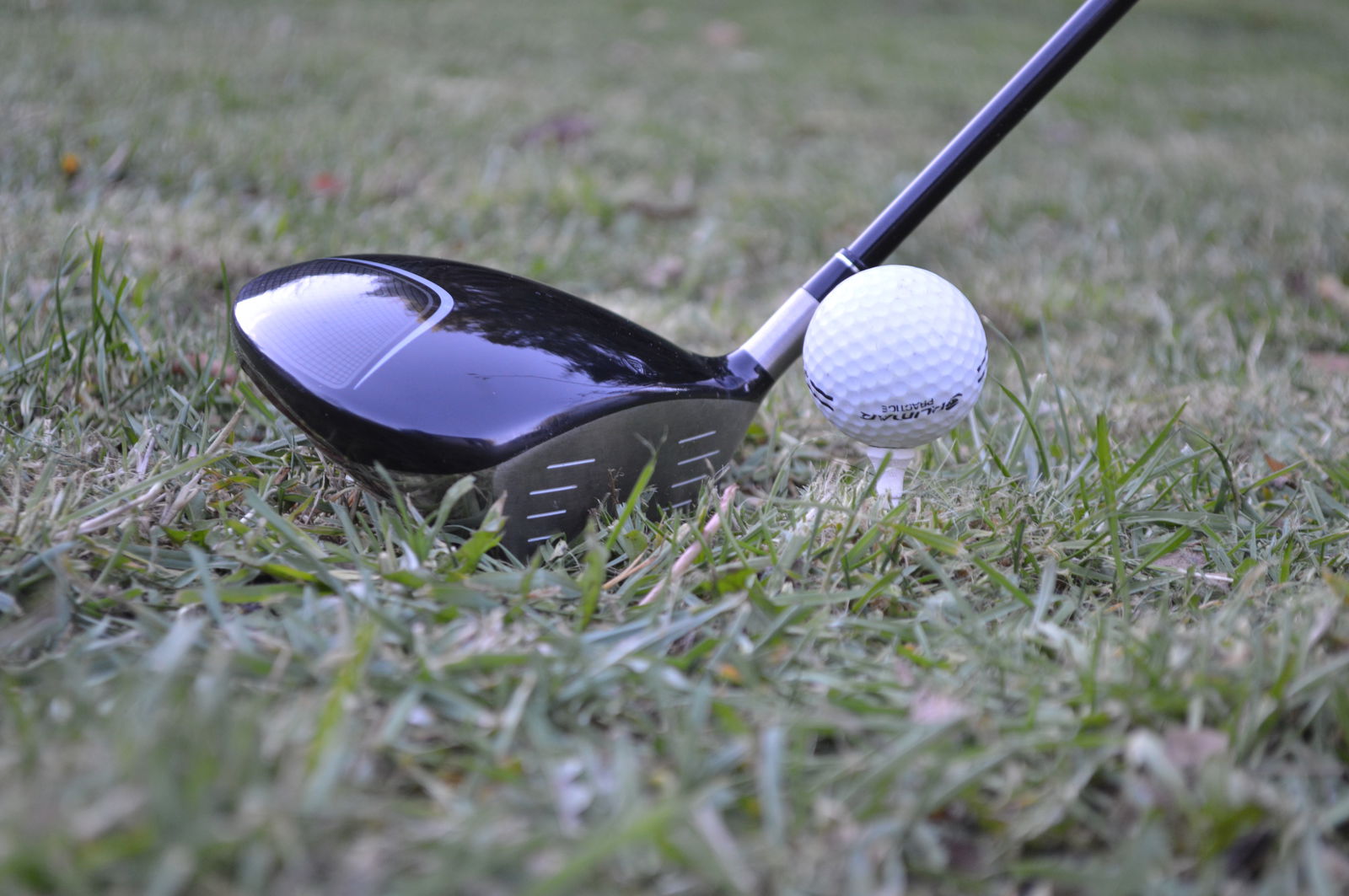 New study suggests golf is 