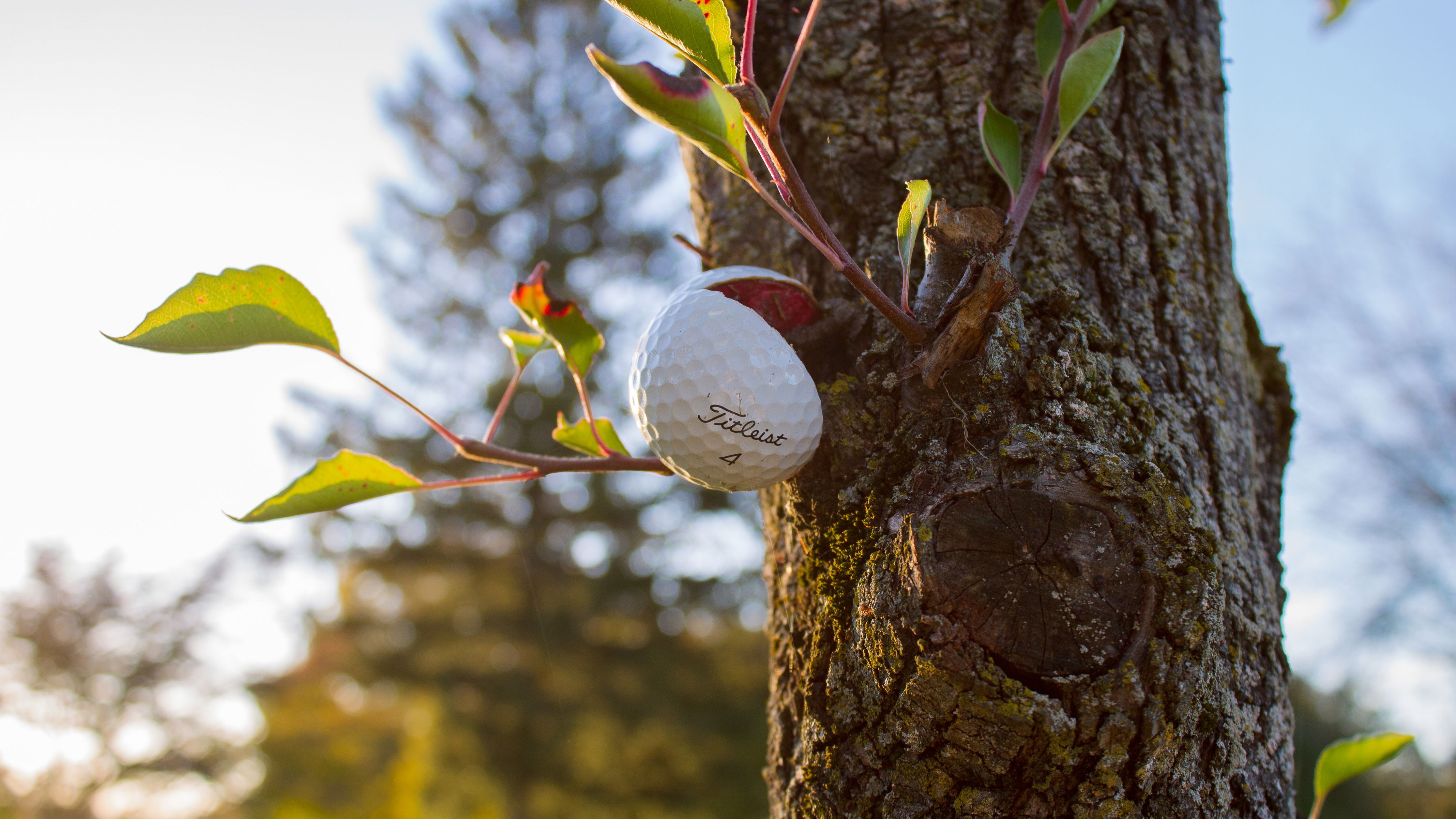 What's inside a golf ball? Your golf questions answered...