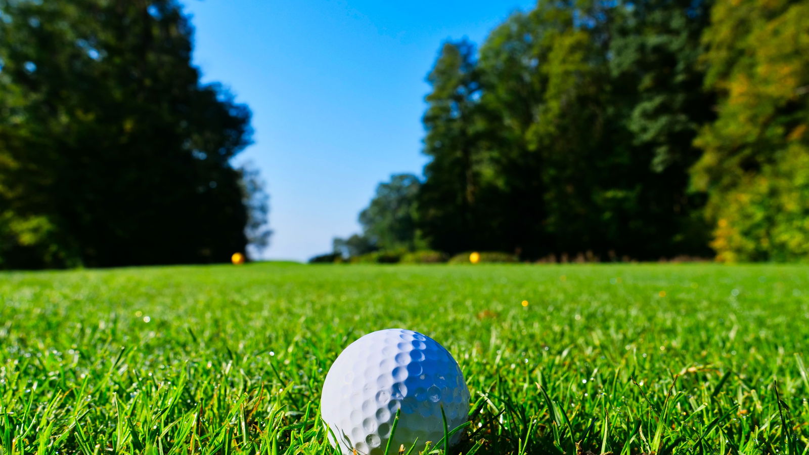 UK golf club SHUTS DOWN after golfer ignores COVID-19 rules