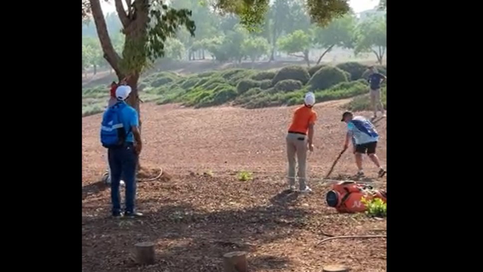 Watch: DP World Tour pro Joost Luiten loses three of his golf clubs up a tree!