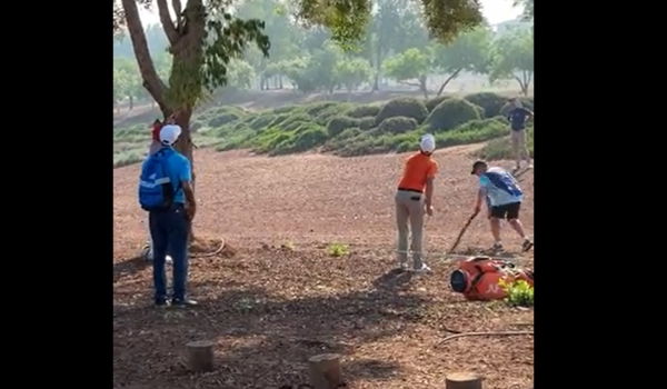 Watch: DP World Tour pro Joost Luiten loses three of his golf clubs up a tree!