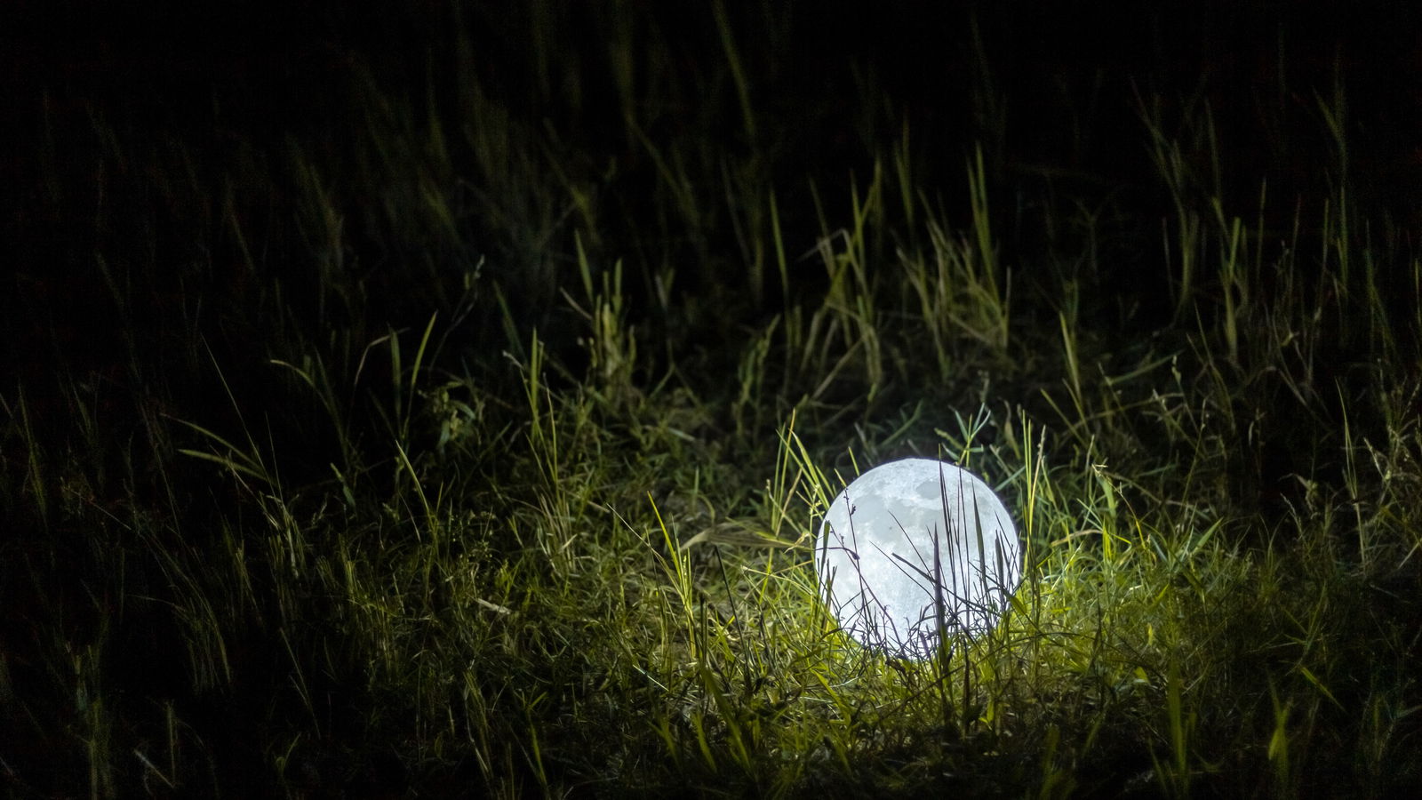 PGA referee: Learn about the rules before donning the black cap