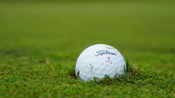 Rory McIlroy holes out from 73 yards for eagle as he takes Abu Dhabi lead