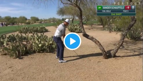 xander schauffele hits nearly the greatest golf shot in history