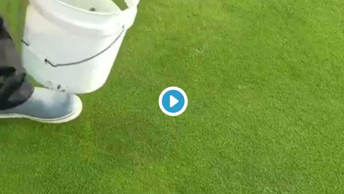 WATCH: Pebble Beach green repairs