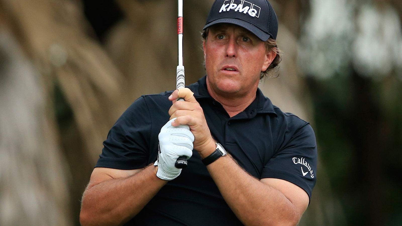 WATCH: Phil Mickelson looks for his ball, ends up in the net...