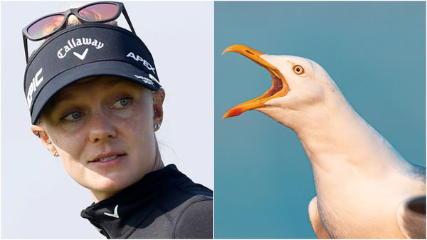 WATCH: "PESKY SEAGULL" sends Madelene Sagstrom's ball back down the fairway!