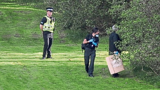 man in court accused of attacking men on dundee golf course with chainsaw and stun gun