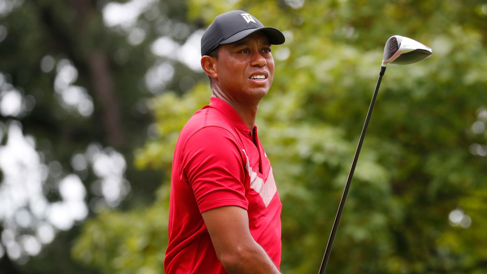How do Tiger Woods' YARDAGES stack up against your own golf game?