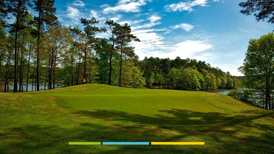 Sports Marketing Surveys