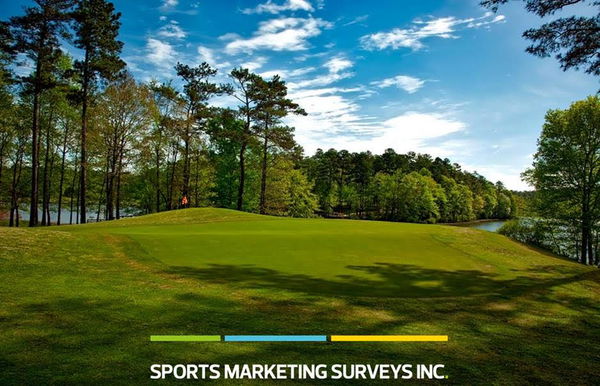 Sports Marketing Surveys