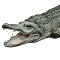 Golfer saves his dog from alligator