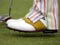 WIN shoes and woods during Open week