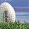 Eagle lands Chris a title