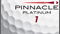 Pinnacle replaces 'Exception' ball