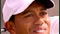 Steve Williams: Life with Tiger